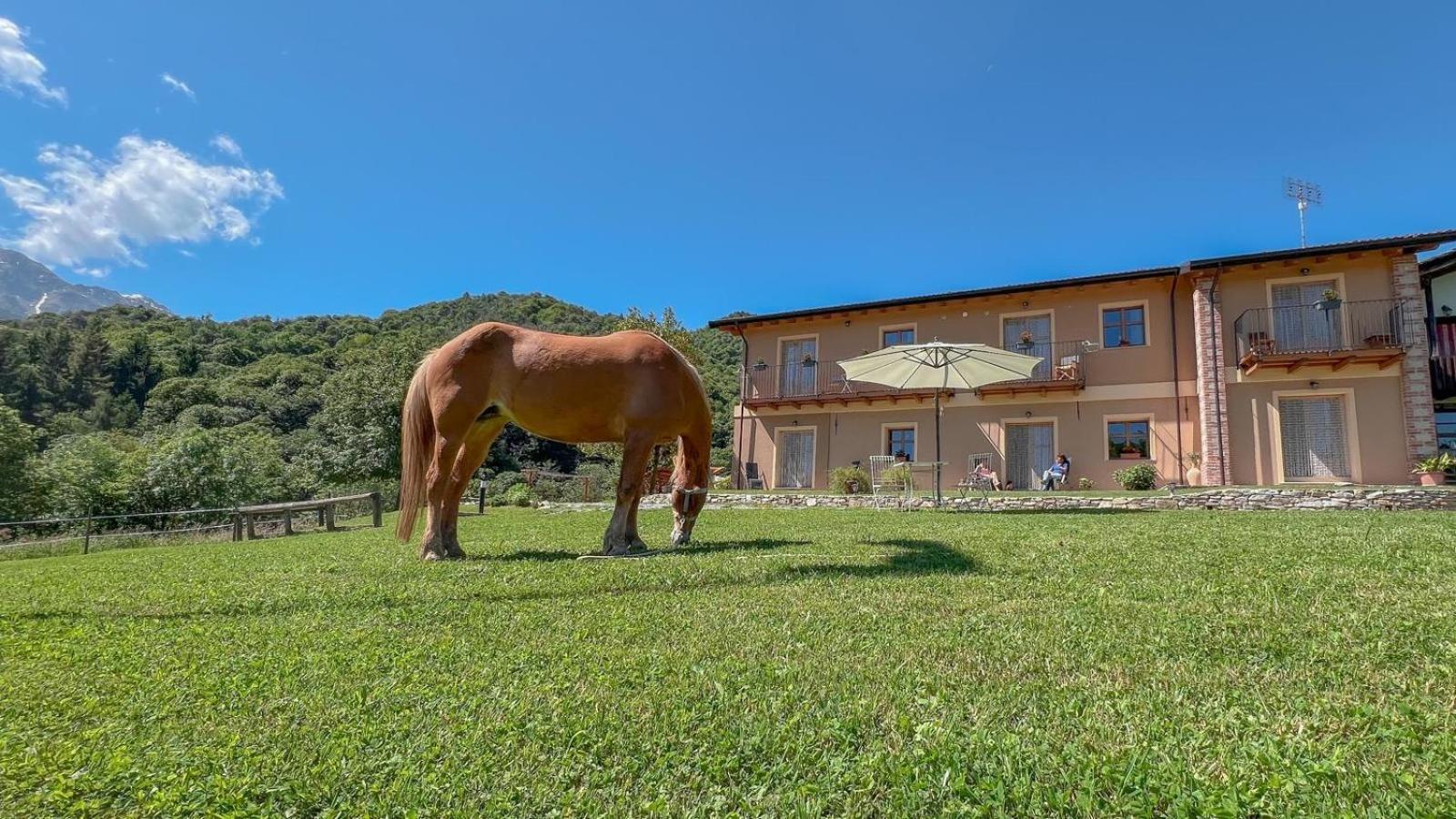 Апартаменты Ranch Enbruca Boves Экстерьер фото